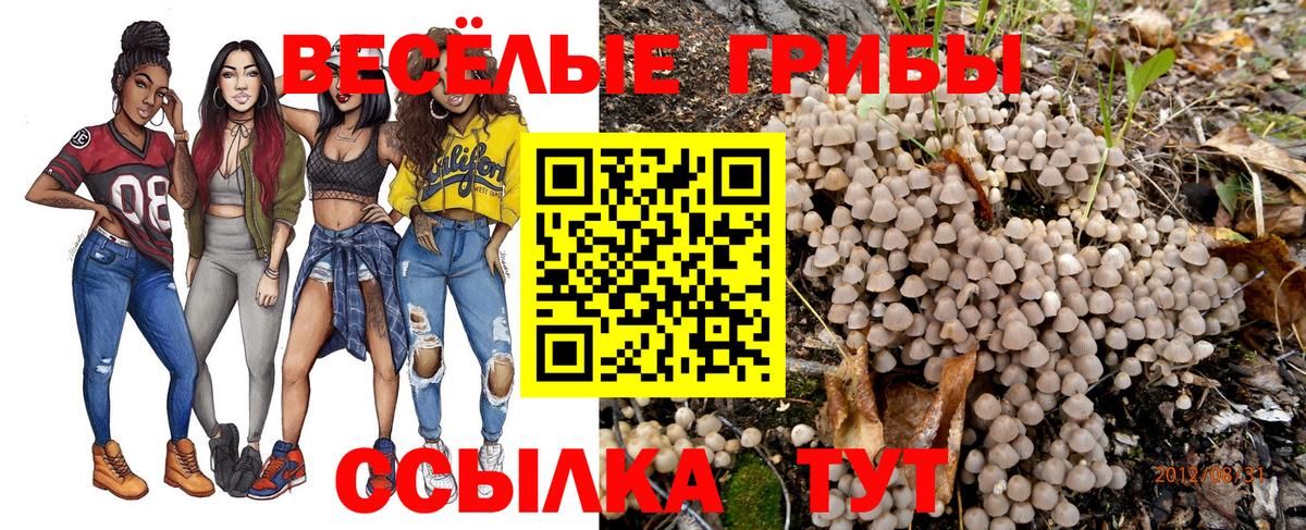 Советская Гавань  купить   Вход с VPN  Галлюциногенные грибы MAGIC MUSHROOMS 